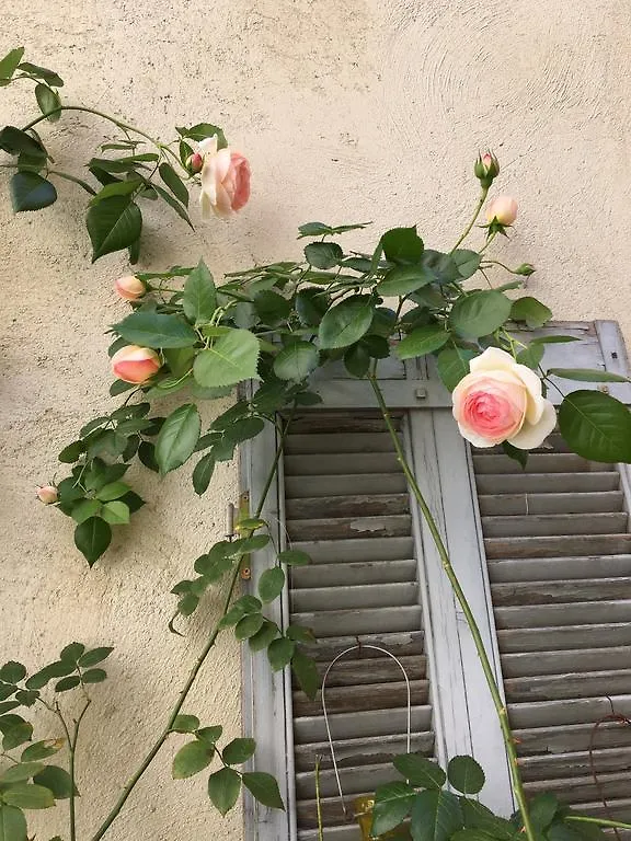 Appartement L'Amelier Avignon Apartmán