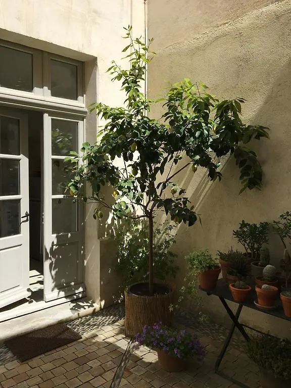 Apartmán Appartement L'Amelier Avignon Francie
